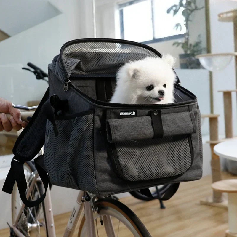 Peut-on transporter un chien à vélo ?