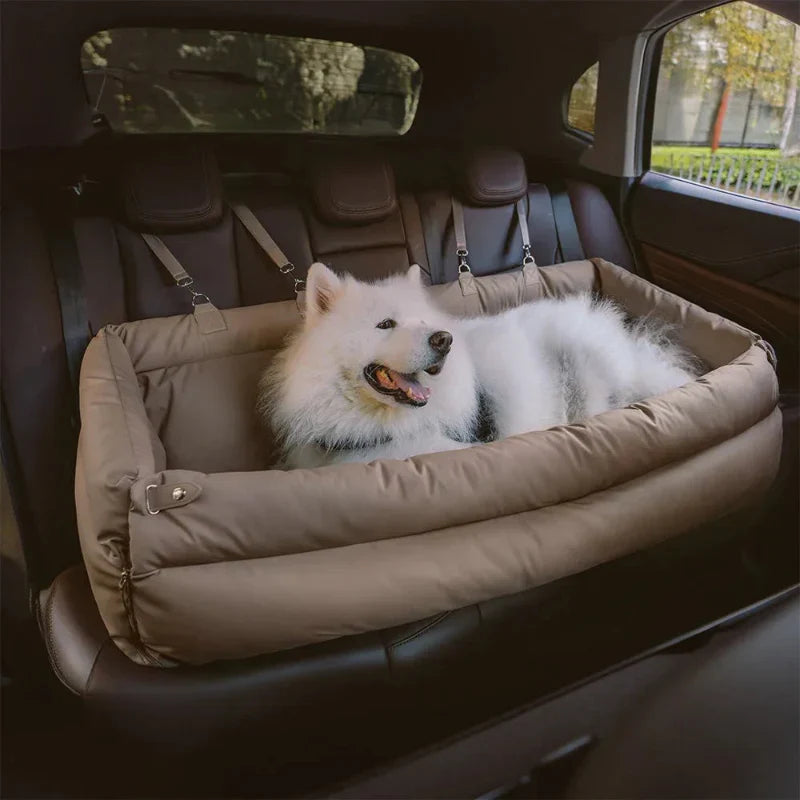 Comment sécuriser un chien en voiture pendant un trajet ?