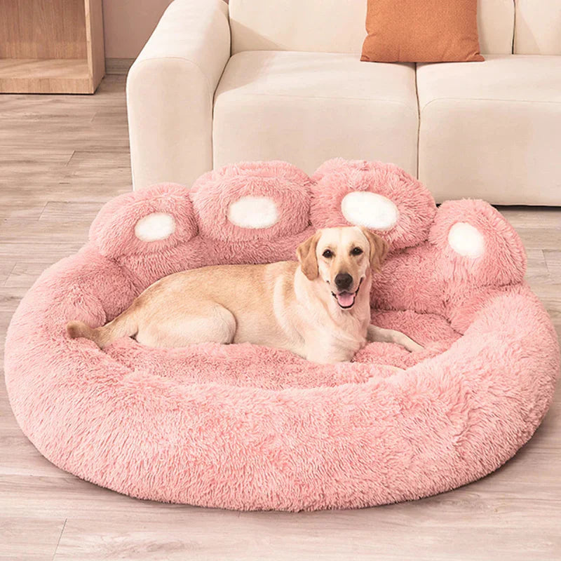Quel panier choisir pour un chien anxieux ?