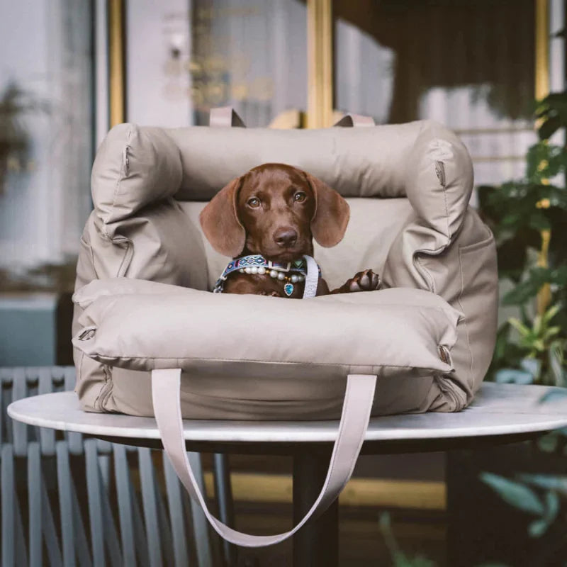 Quel sac de transport choisir pour son chien ?