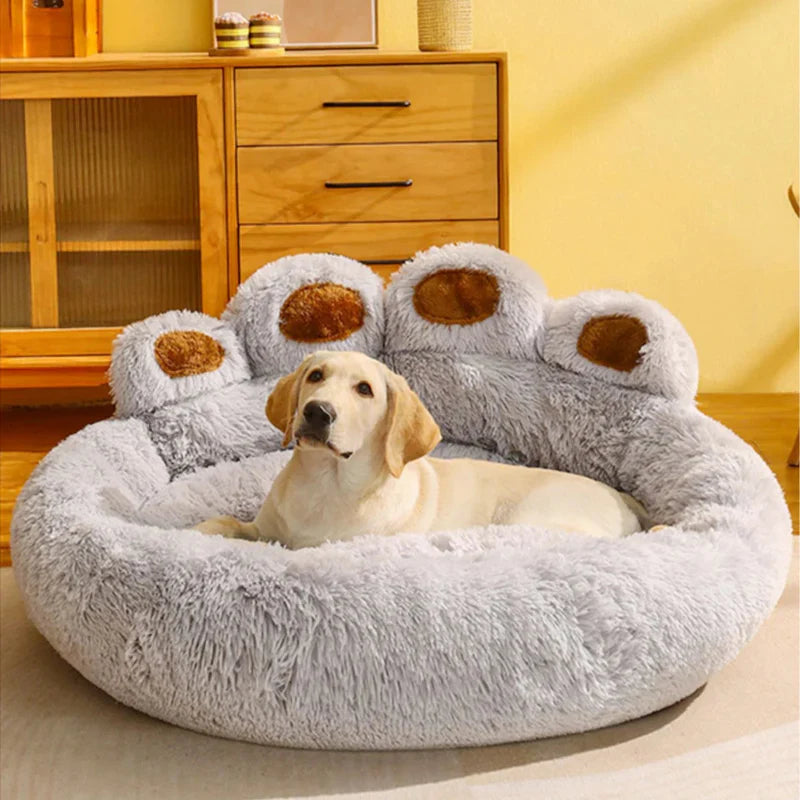 Quel panier XXL choisir pour un grand chien ?