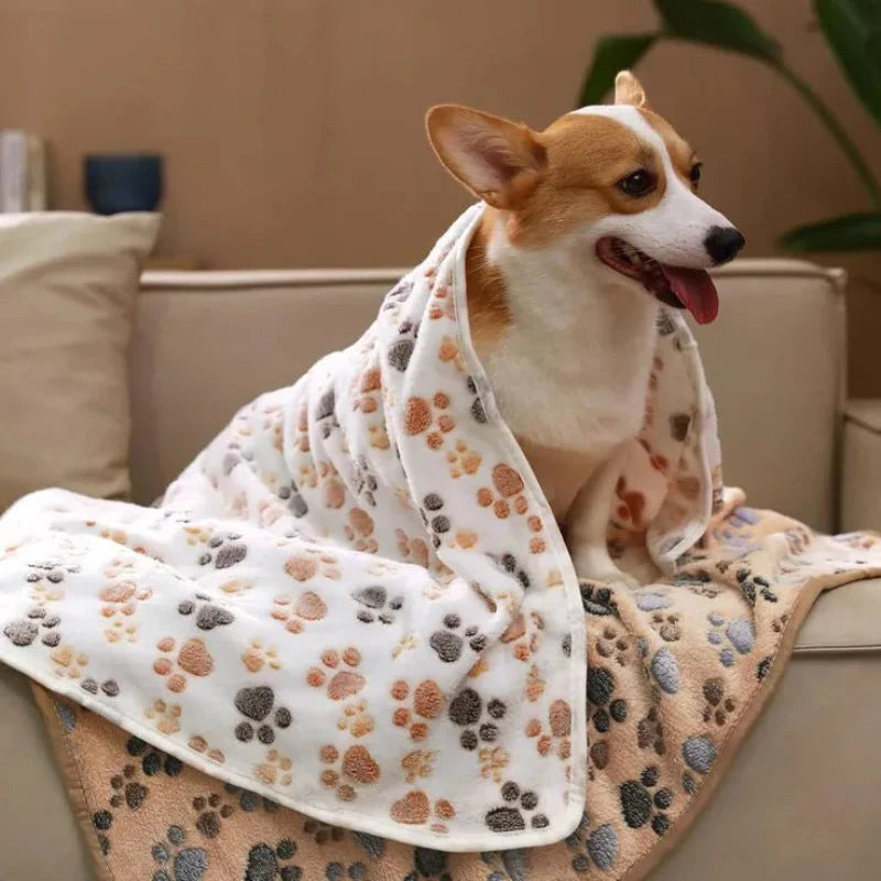 Couverture Chien