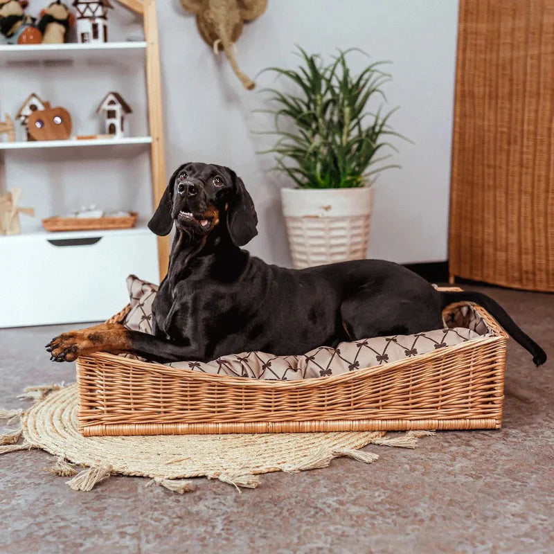 Panier Chien Osier