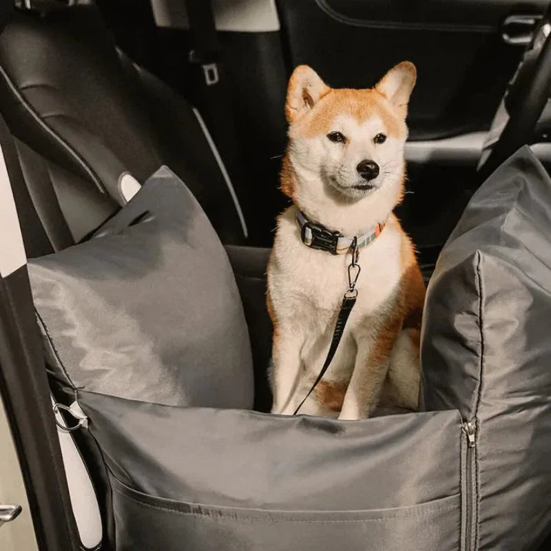 Panier Chien Voiture