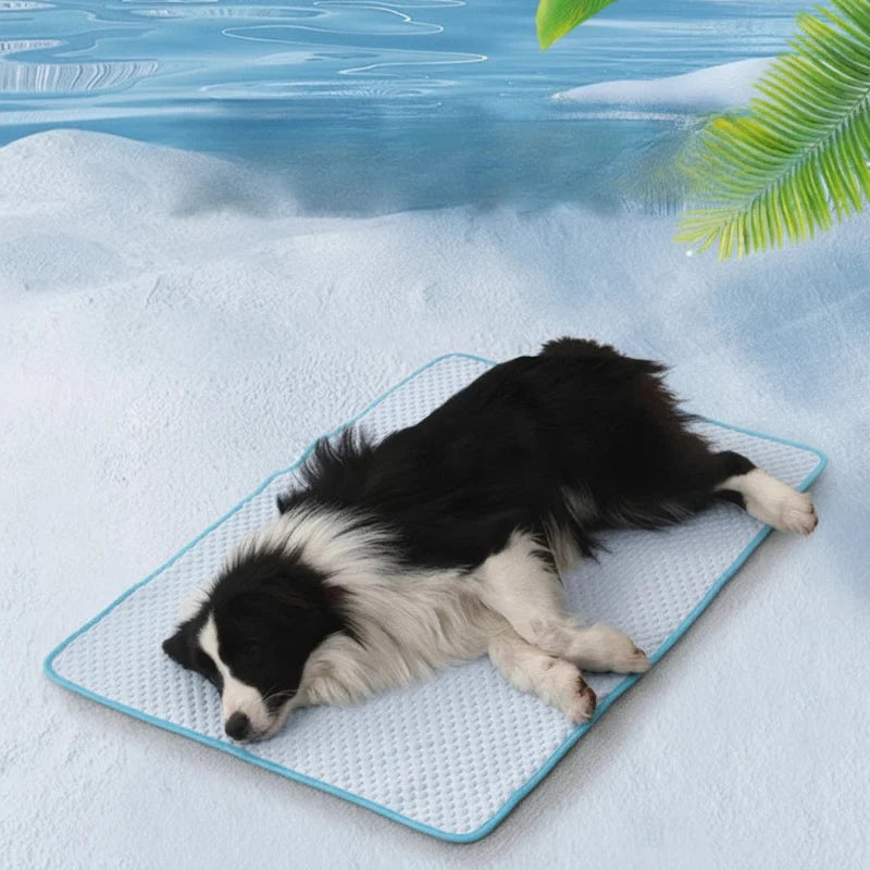 Tapis Rafraichissant Chien