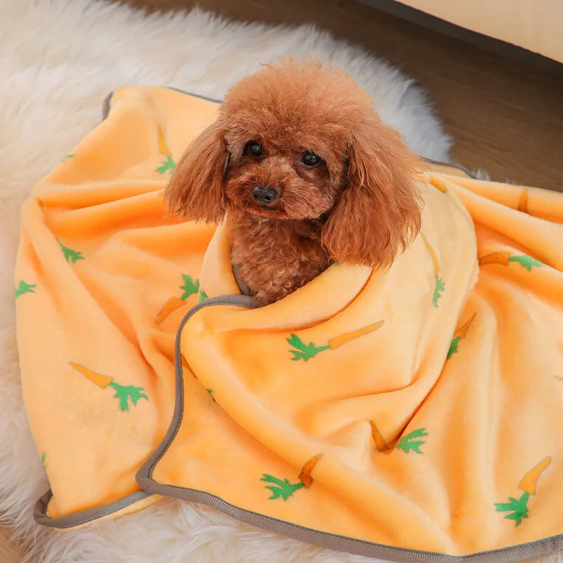 Couverture peluche pour chien – Plaid chaud lavable motifs mignons