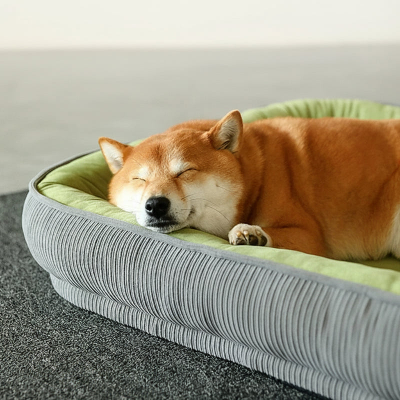 Panier orthopédique rectangulaire pour chien avec coussin épais
