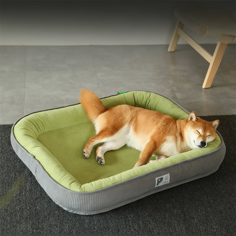Panier orthopédique rectangulaire pour chien avec coussin épais