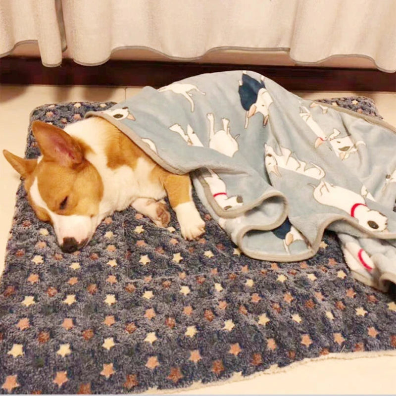 Couverture polaire épaisse pour chien – Plaid chaud cocooning lavable