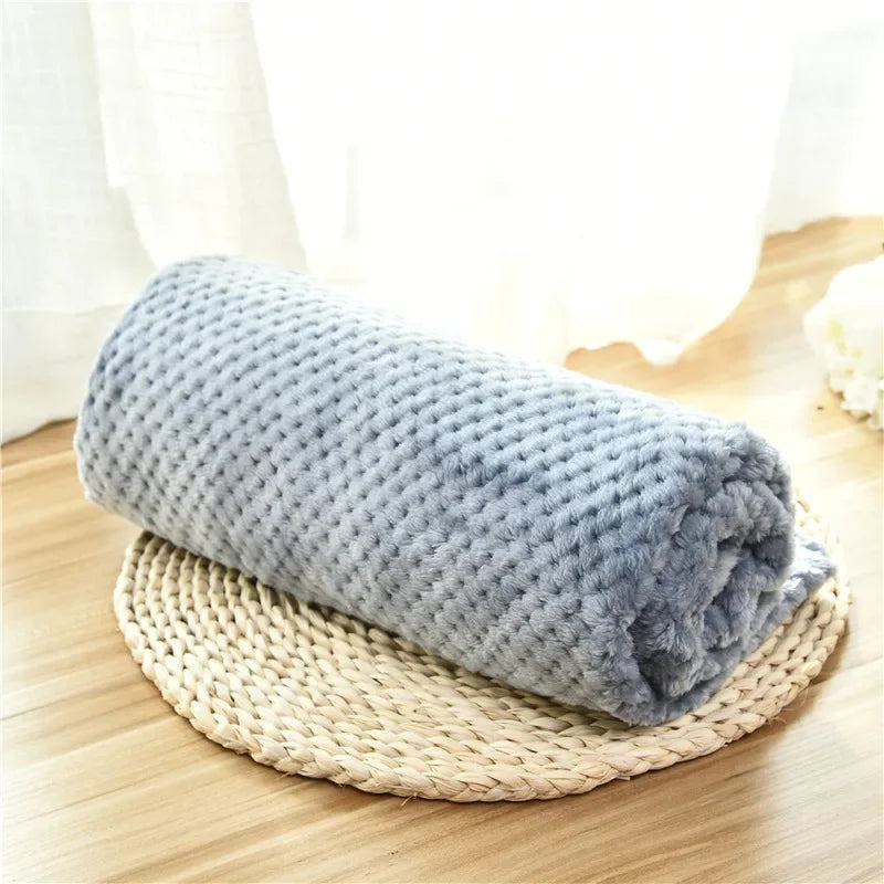 couverture chien bleu