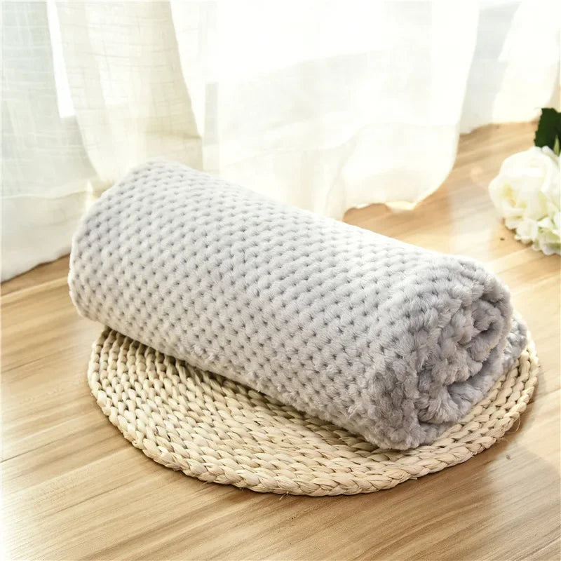 couverture chien gris