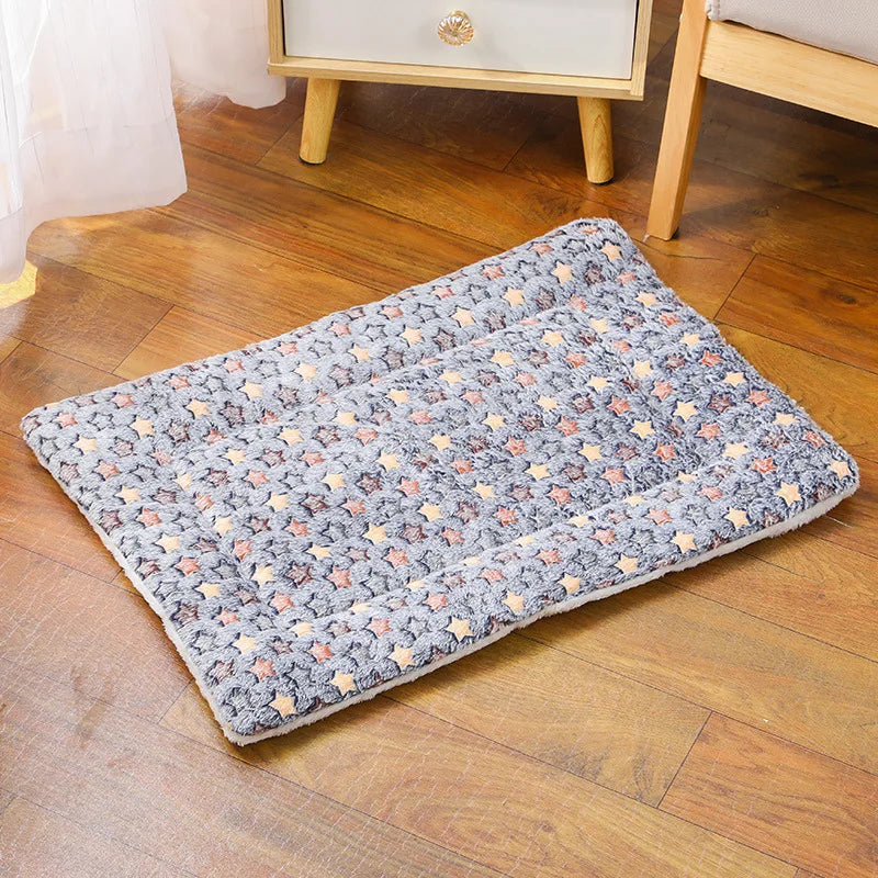 couverture chien gris motif étoile coloré