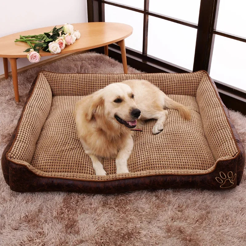 Chien assis sur un panier chien orthopedique café