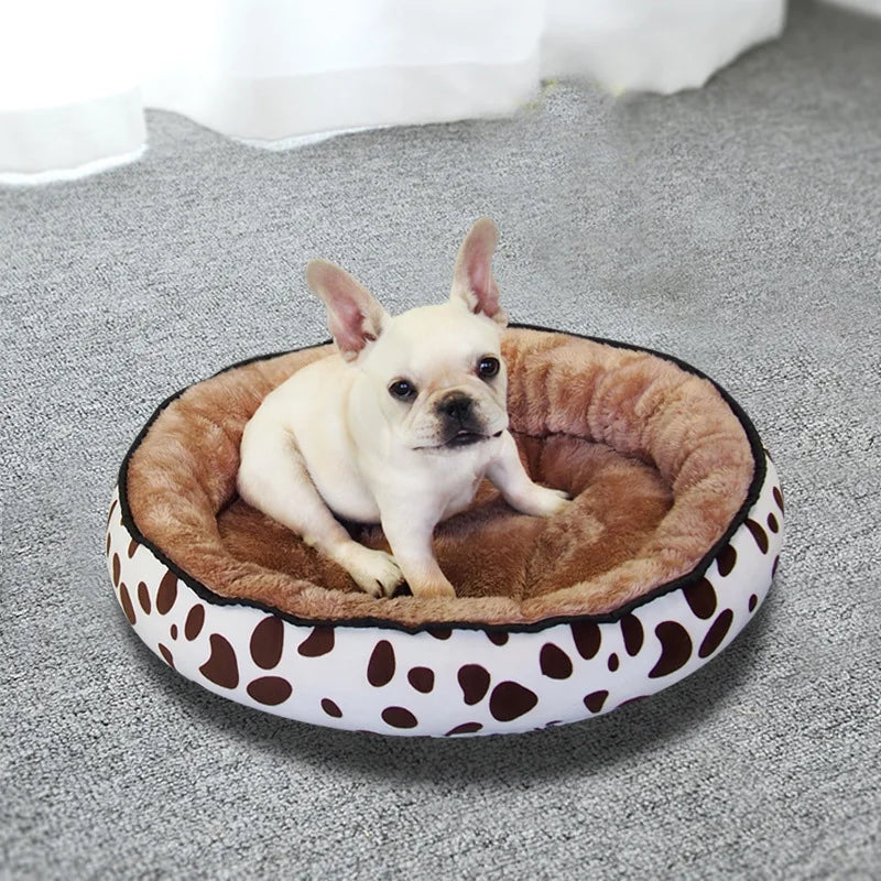 Chien assis sur un panier chien orthopedique marron