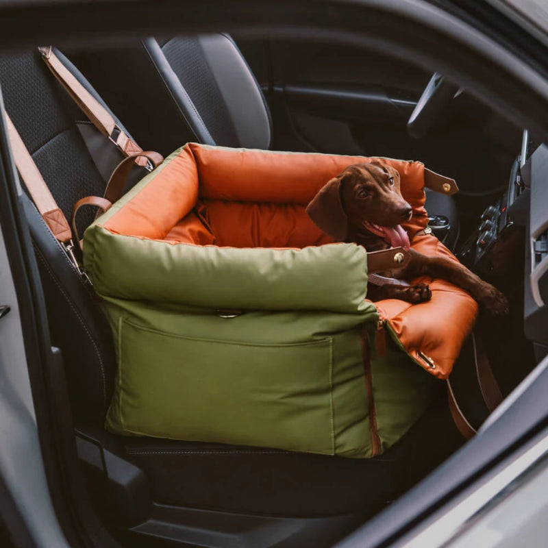 Chien assis sur un panier chien voiture vert et orange