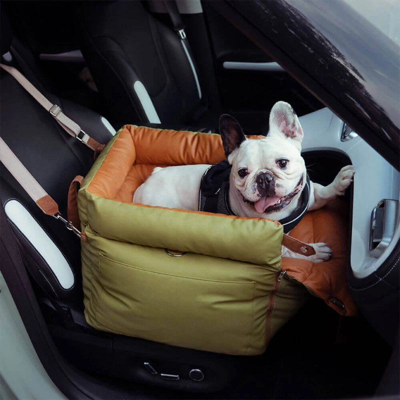 chien assis sur panier chien transport voiture