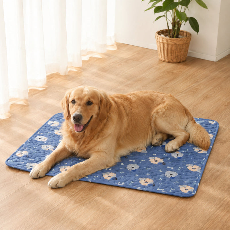 tapis rafraichissant bleu avec chien