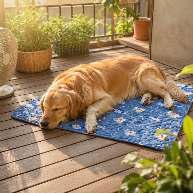 tapis rafraichissant bleu avec chien coucher