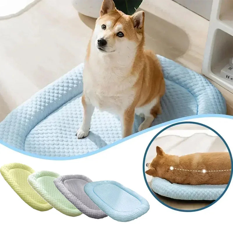 tapis rafraichissant avec chien