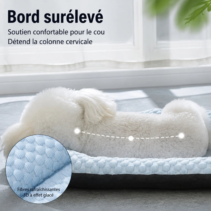 tapis rafraichissant chien bord surélevé