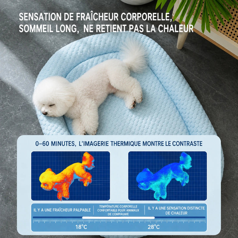 tapis rafraichissant chien coucher image thermique